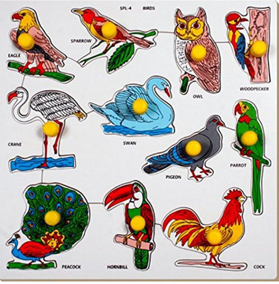 

Little Genius Birds Large with Big Knob(Multicolor)