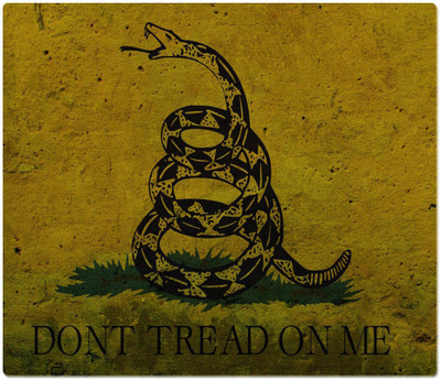 

Maison N Mode Don’t Tread Me Rectangle Mouse Pad Mousepad(Multicolor)