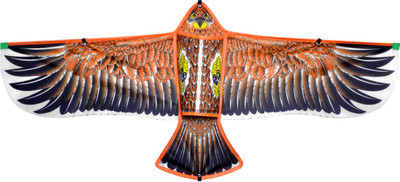 

UNTOLD Eagle Bird Foldable Outdoor Kite(Multicolor)