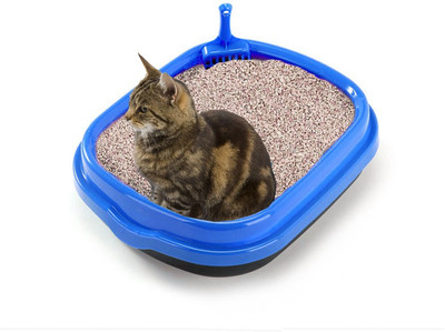 

Anokhe Collections Cats Litter Tray