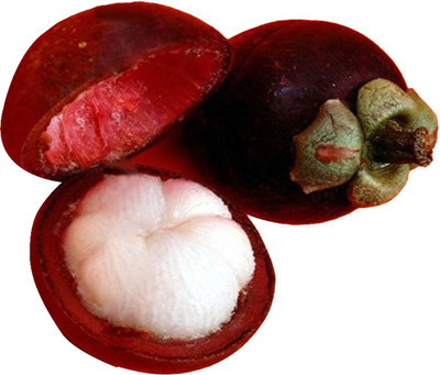 Futaba Mangosteen Seed(10 per packet)