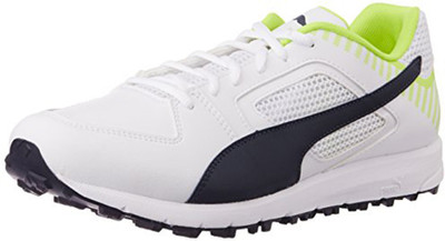 

Puma Team Rubber Cricket Shoes For Men(White