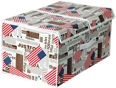 

FullHouz US Flag Design Storage Box(Multicolor)