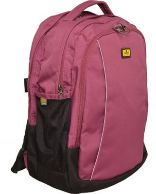 

Liviya SB-972 34 L Backpack(Pink)