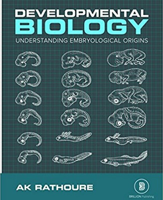 DEVELOPMENTAL BIOLOGY:UNDERSTANDING THE EMBRYOLOGICAL ORIGINS(English, Paperback, Rathoure A.K. Et.Al)