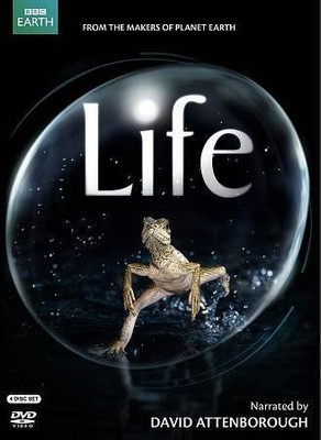 

LIFE(DVD English)