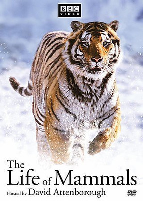 

LIFE OF MAMMALS(DVD English)