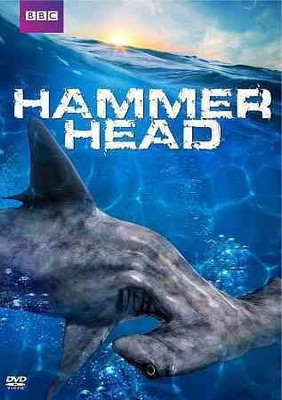 

HAMMERHEAD(DVD English)