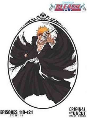 

BLEACH BOX SET 6 (UNCUT)(DVD English)