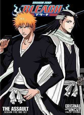 

BLEACH BOX SET 5 (UNCUT)(DVD English)