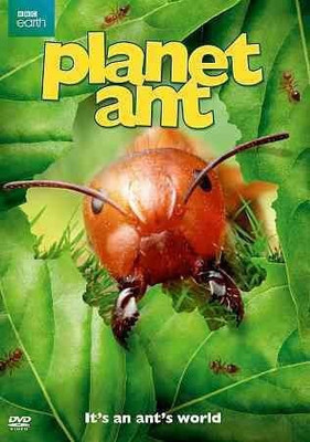 

PLANET ANT(DVD English)