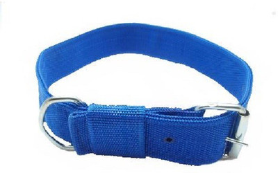 

SICONS Plain Dog Collar Charm(Blue, Round)