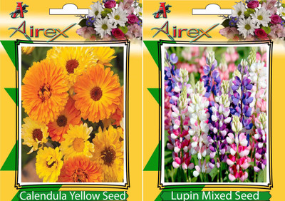 Airex Calendula Yellow, Lupin Mixed Seed(25 per packet)