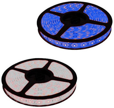 

Home Delight 197 inch Blue, White Rice Lights(Pack of 2)