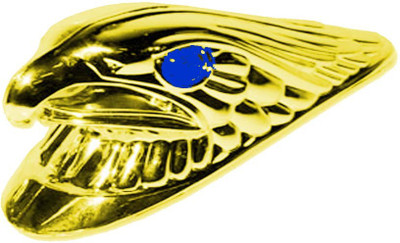 

Capeshoppers CR015037-Eagle Face golden Logo Royal Enfield Emblem