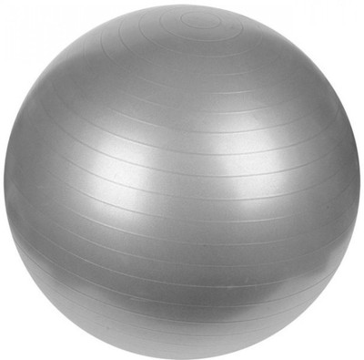 

GMAX Gym Ball, Silver