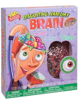 

Scientific Explorer Disgusting Anatomy Kit – Brain(Multicolor)