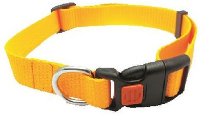 

SICONS Dog Collar Sicons Nylon Large adjustable Plain Orange 1 inch Plain Dog Collar Charm(Orange, Round)