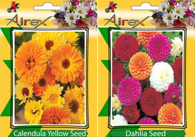 

Airex Calendula Yellow, Dahlia Seed(20 per packet)