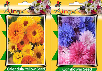 

Airex Calendula Yellow, Cornflower Seed(20 per packet)