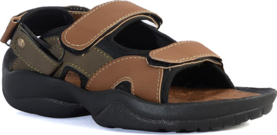 

Shoegaro Men Tan Sandals
