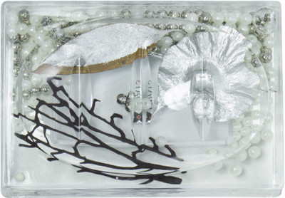 Polo Lifetime Soap Case(Silver)