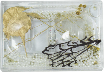 

Polo Lifetime Soap Case(Golden)