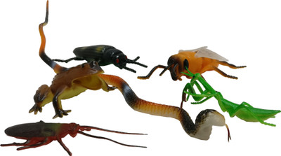 

Boing 6 PCS 4"-15" REPTILES(Multicolor)