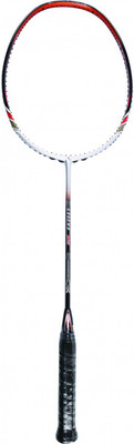 

ASHAWAY Legend 9675 Multicolor Unstrung Badminton Racquet(G2 - 3.75 Inches, 89 g)