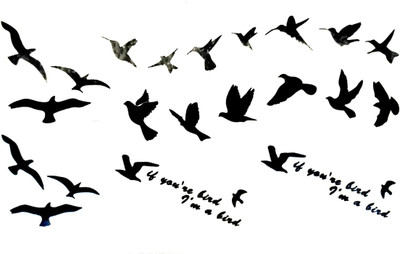 

Gemmas Fashion Birds(Birds)
