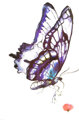 

Gemmas Fashion Butterfly(Butterfly)