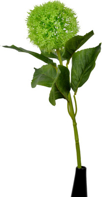 

Importwala Green Assorted Artificial Flower(24.8 inch, Pack of 1)