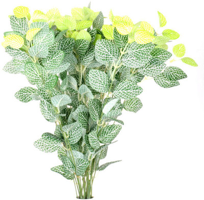 

Importwala Green Assorted Artificial Flower(23 inch, Pack of 1)