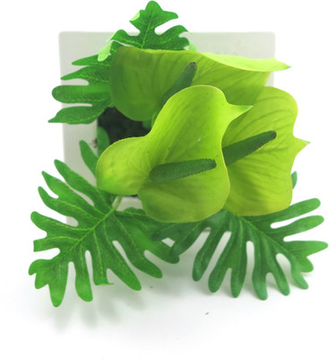 

Importwala Green Lily Artificial Flower with Pot(6 inch, Pack of 1)