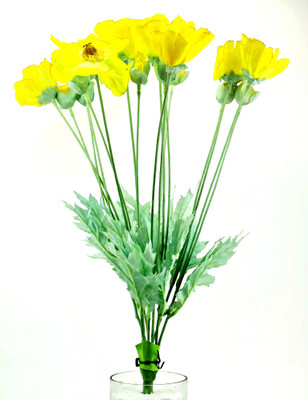 

Importwala Yellow Carnations Artificial Flower(23 inch, Pack of 1)