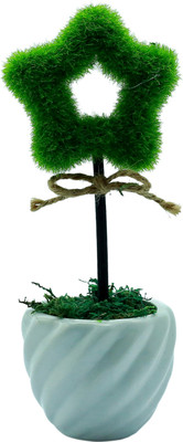 

Importwala Green Assorted Artificial Flower with Pot(8 inch, Pack of 1)