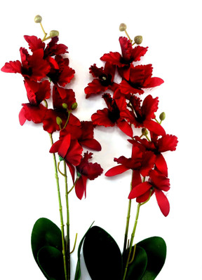 

Importwala Red Assorted Artificial Flower(21 inch, Pack of 2)