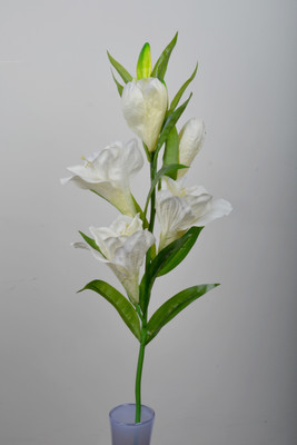 

Importwala White Lily Artificial Flower(46.8 inch, Pack of 1)