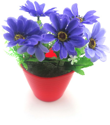 

Importwala Blue Gerbera Artificial Flower with Pot(7 inch, Pack of 1)