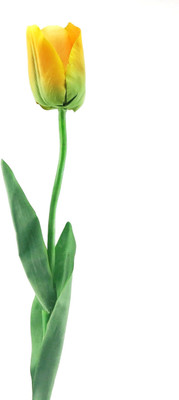

Importwala Yellow Tulips Artificial Flower(27 inch, Pack of 1)