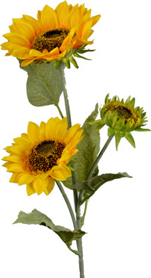 

Importwala Yellow Sunflower Artificial Flower(36.5 inch, Pack of 1)