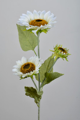 

Importwala White Gerbera Artificial Flower(36.5 inch, Pack of 1)