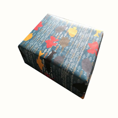 

EVINCE GIFT WRAPPING PAPER fish and its interesting forms with facts PAPER Gift Wrapper(blue water)