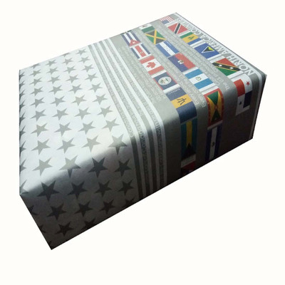 

EVINCE GIFT WRAPPING PAPER north america countries with its flags PAPER Gift Wrapper(grey and whitish)