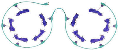 

Home Delight 157 inch Blue Rice Lights(Pack of 10)