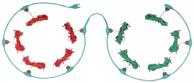 

Home Delight 157 inch Red, Green Rice Lights(Pack of 10)