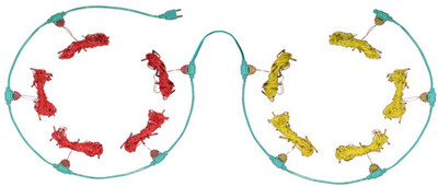 

Home Delight 157 inch Red, Yellow Rice Lights(Pack of 10)