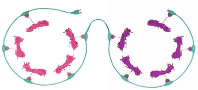 

Home Delight 157 inch Pink, Purple Rice Lights(Pack of 10)
