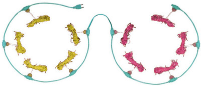 

Home Delight 157 inch Yellow, Pink Rice Lights(Pack of 10)