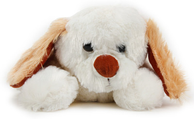 

Floweraura Cuddly Puppy - 15 inch(Green)